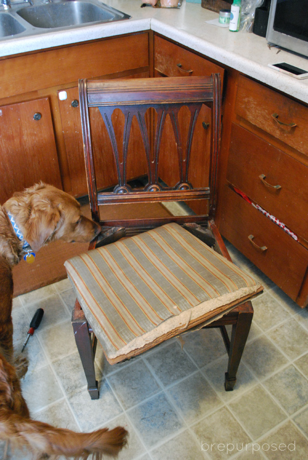 Old Chair Seat