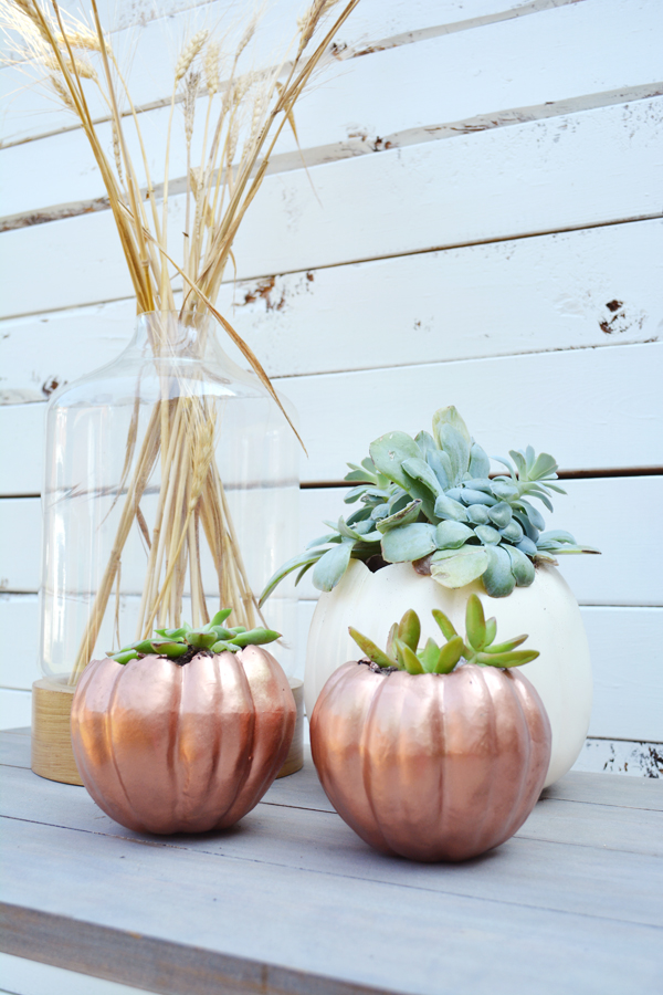 DIY pumpkin planters in white and copper