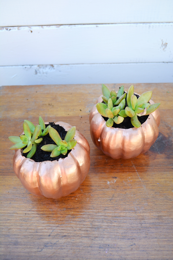 tutorial to make diy pumpkin planters