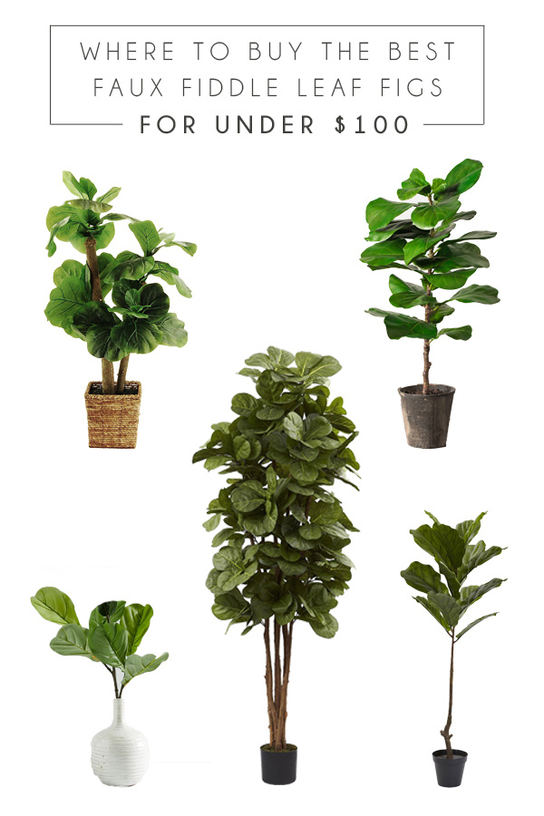 Where To Buy The Best Faux Fiddle Leaf Figs For Under $100
