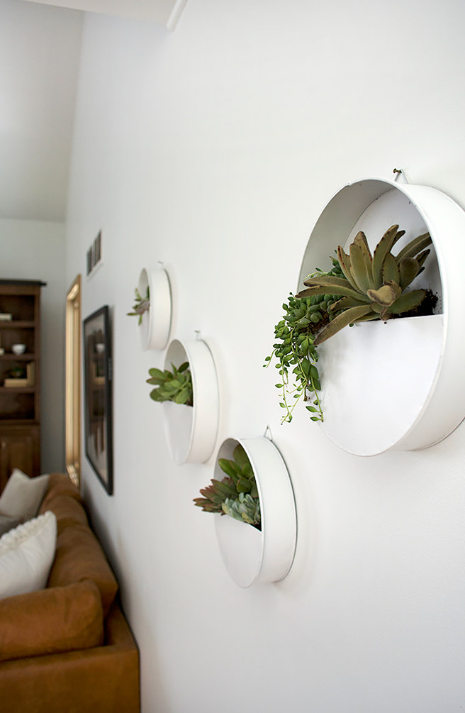Tin Hanging Wall Planters with Succulents