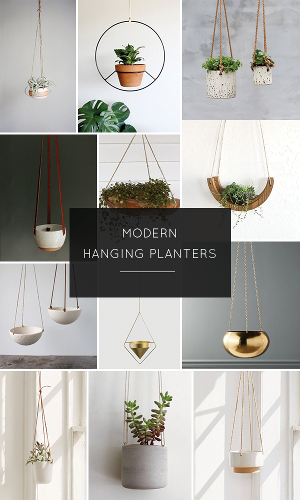 Modern Hanging Planters