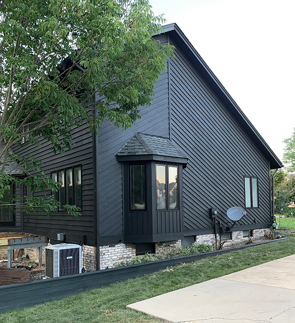 Black Painted House